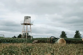 云-天空、田野、天空、土地、植物、农业、自然、白天