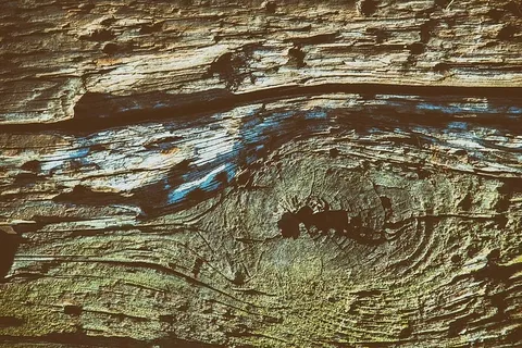 用佳能5D单反相机在英国康沃尔拍摄的旧木材细节特写纹理照片