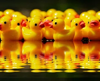 黄色，橡皮鸭，身体，水，鸭子，人物，团体，镜像