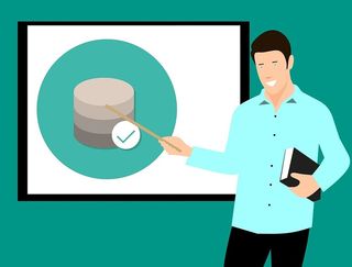 对数据进行演示的专业人士。