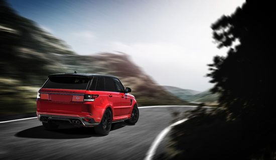 树，红色，流浪者，运动，比赛，驾驶，森林，森林