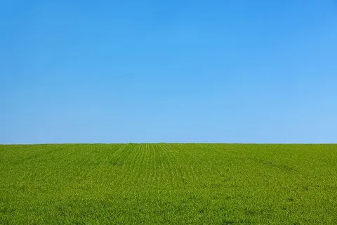 绿色草地,背景,蓝色,干净,清晰,白天,田野,dom 绿色草地,背景,蓝色,干净,清晰,白天,田野,dom