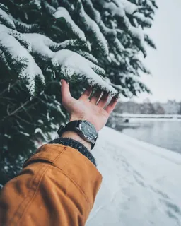 用雪触摸树叶的人 用雪触摸树叶的人