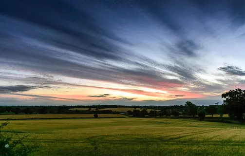 草地,金色,小时,艺术,艺术,背景,艺术,美丽 草地,金色,小时,艺术,艺术,背景,艺术,美丽