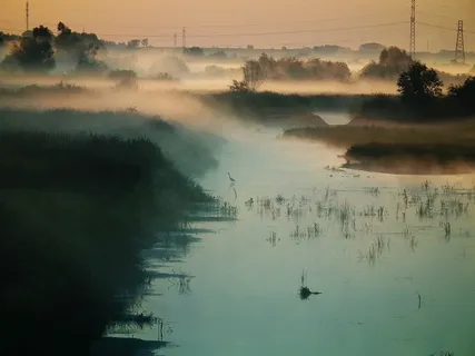 晨雾,日落,水雾,自然 晨雾,日落,水雾,自然