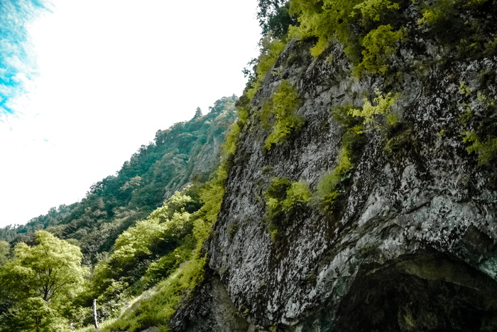 绿色、山脉、自然、岩石、天空、森林、树木、景观