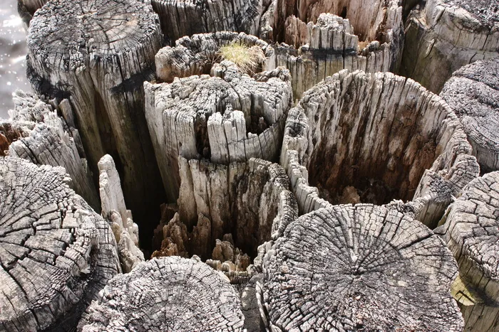 木桩，纹理，老木，三，木制品，纹理，自然，岩石-物体