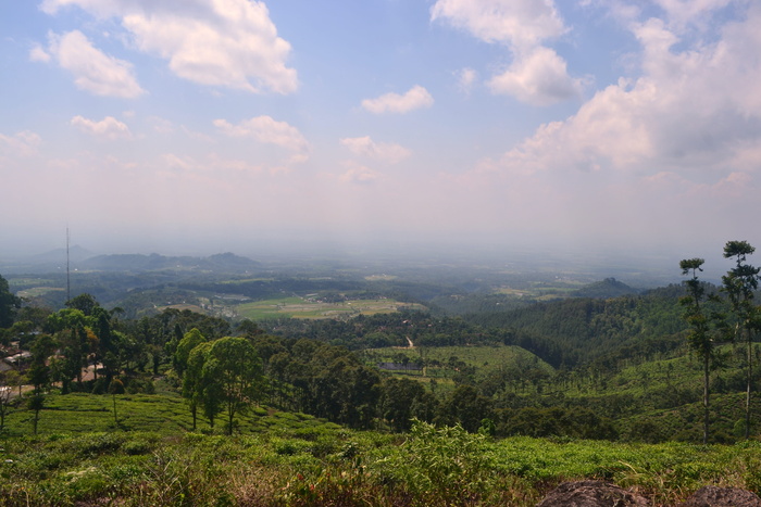 景观、茶园、nat、自然、绿色、天空、草地、山脉