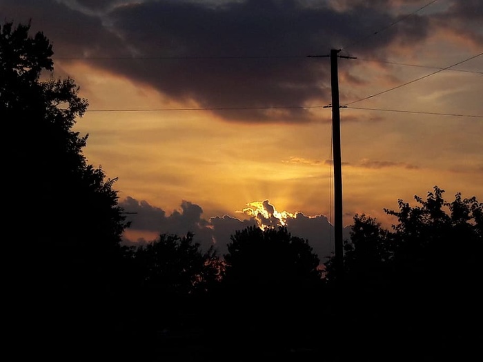 树，天空，剪影，云-天空，日落，植物，自然之美，风景-自然
