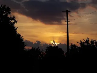 树，天空，剪影，云-天空，日落，植物，自然之美，风景-自然