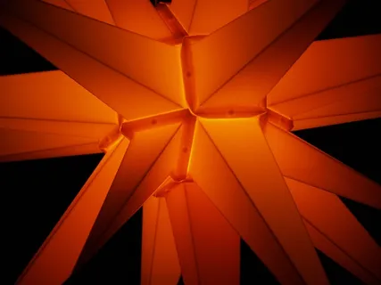 一品红、圣诞节、星星、光、照明、黑暗、黑色、橙色 一品红、圣诞节、星星、光、照明、黑暗、黑色、橙色