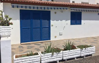 房子，白色，花，海滩，蓝色，建筑物，海滩房子，植物盆