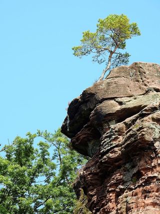石头，岩石，大自然，天空，蓝色，蓝色，树，天空，蓝色，树