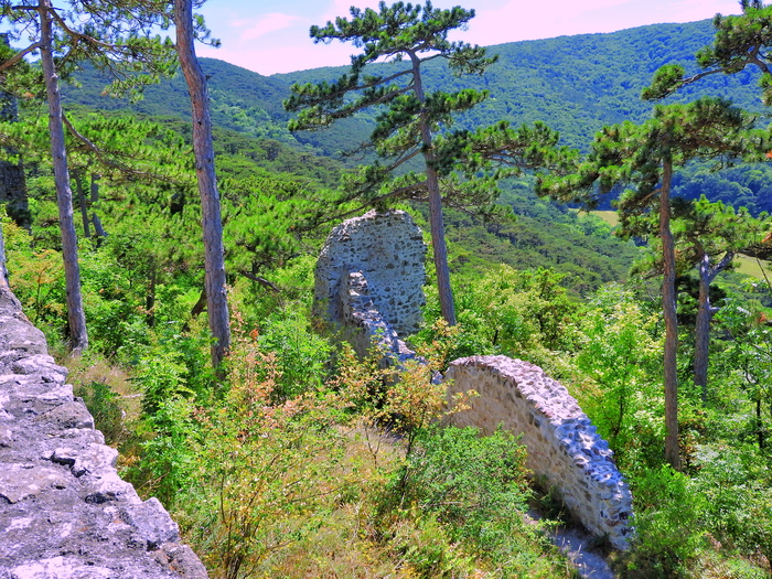 莫德尔城堡，博格瑞恩，城堡，下奥地利，hdr图像，植物，宁静场景，树