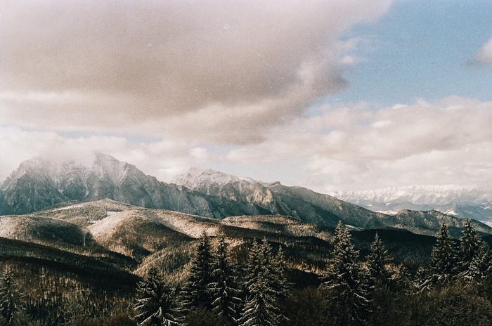 山和树，山，云，森林，树，山，雪，峰