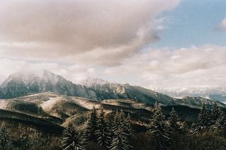 山和树，山，云，森林，树，山，雪，峰