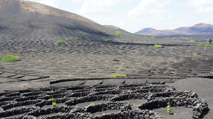 lanzarote，葡萄酒，熔岩，进化，景观，夏天，自然，山脉