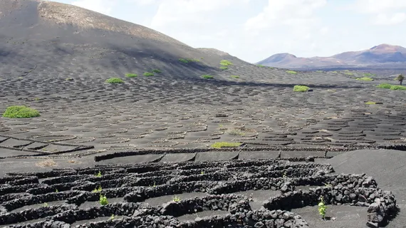 lanzarote,葡萄酒,熔岩,进化,景观,夏天,自然,山脉 lanzarote,葡萄酒,熔岩,进化,景观,夏天,自然,山脉