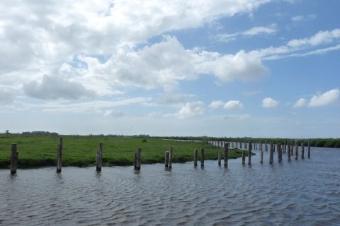 eilandspolder, 自然, 岛屿, 嫁接, de rijp, 三间房子, 水, 天空