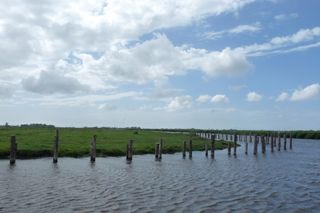 eilandspolder, 自然, 岛屿, 嫁接, de rijp, 三间房子, 水, 天空