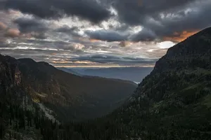 白天，青山上长满了树