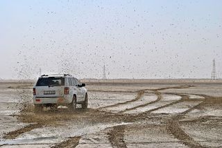 泥泞平原上的白色Suv照片