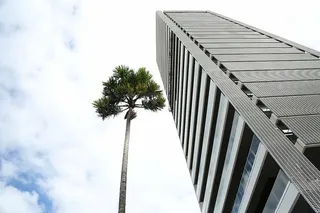 建筑，建筑，工作，天空，建筑，城市，透视，城市