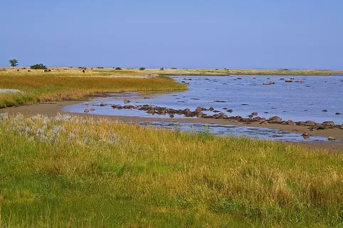 丹麦、丹麦海岸、岛屿、fyns hoved、波罗的海、丹麦波罗的海、丹麦波罗的海海滩、贻贝壳