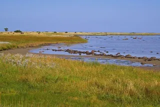 丹麦、丹麦海岸、岛屿、fyns hoved、波罗的海、丹麦波罗的海、丹麦波罗的海海滩、贻贝壳