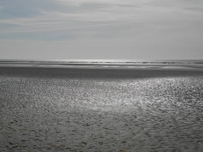 bay sum、maree basse、云、水、海、海滩、天空、陆地