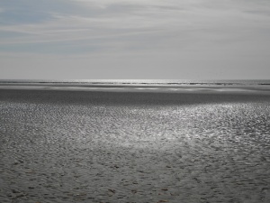 bay sum、maree basse、云、水、海、海滩、天空、陆地