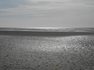 bay sum、maree basse、云、水、海、海滩、天空、陆地