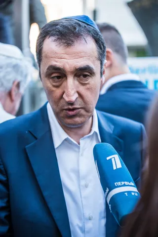 肖像，人类，塞姆·德米尔，绿色，联盟90，绿色，生态，格林