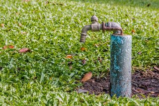 水龙头，水龙头，花园，自然，户外，园艺，植物，草