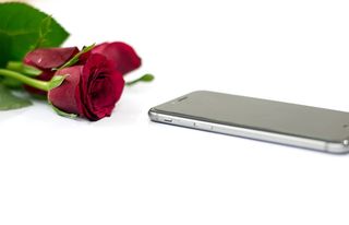 极简主义，极简主义，极简照片，风格桌面，女性化，花卉模型，花卉照片，照片