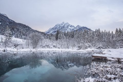 黄昏时分,灰蒙蒙的天空下,水面旁的树木和山脉被雪覆盖 黄昏时分,灰蒙蒙的天空下,水面旁的树木和山脉被雪覆盖