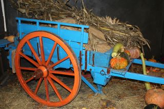 马车，马车，农用马车，农业，农民，车轮，马，运输