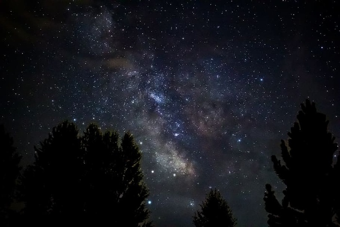 天空，星星，星座，颜色，空间，星系，宇宙，树