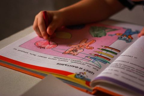 孩子给书中的石榴画上色