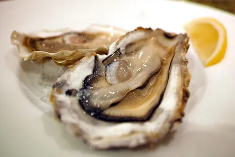 海鲜、餐厅、菜肴、食物、饮食、牡蛎、生牡蛎、双壳类 海鲜、餐厅、菜肴、食物、饮食、牡蛎、生牡蛎、双壳类