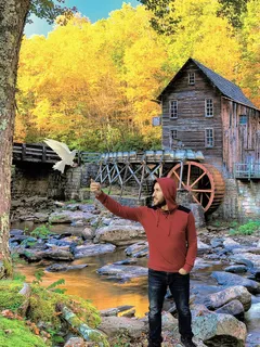 秋季, 户外, 自然, 木纤维板, 树, 建筑结构, 体系结构, 一个人