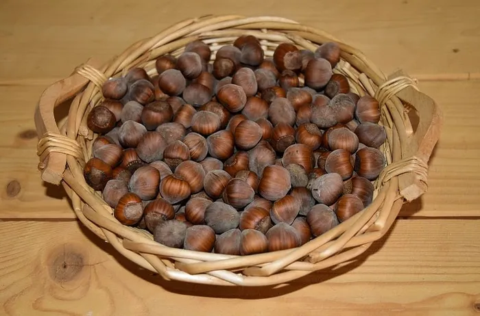 榛子，坚果，榛子，核桃，碗，篮子，水果，天然