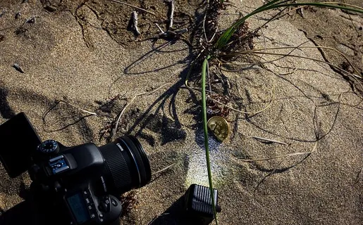 相机，比特币，加密货币，加密，佳能，摄影，硬币，流明立方体