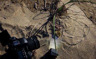 相机，比特币，加密货币，加密，佳能，摄影，硬币，流明立方体