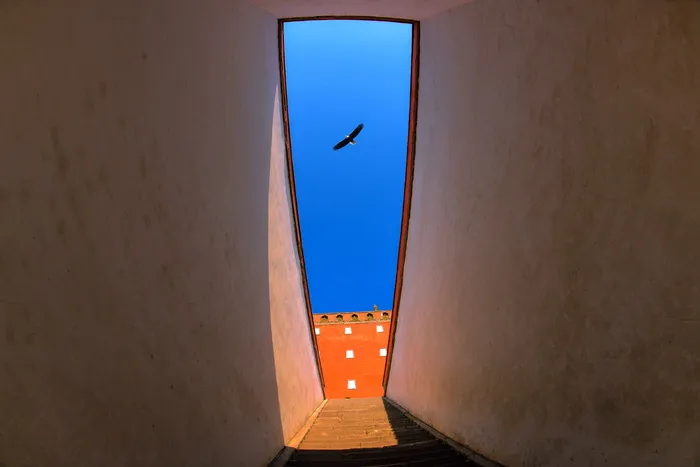 外，寺，承德，八，外寺，八外寺，楼，鹰