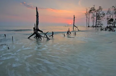 海，黎明，风景，自然，海滩，云，夜晚，海洋