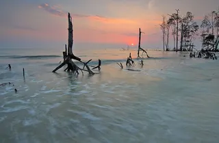 海，黎明，风景，自然，海滩，云，夜晚，海洋