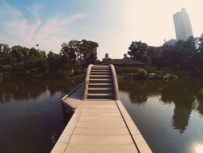 日本，广岛市，树根县，广岛县，亚洲，核，战争，树根花园