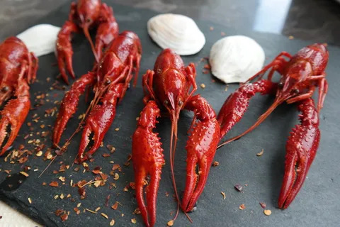 煮小龙虾,食用,食品,爪子,食品和饮料,新鲜,红色,健康 煮小龙虾,食用,食品,爪子,食品和饮料,新鲜,红色,健康