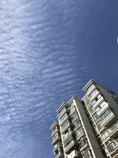 天空、蓝色、纯净、建筑、建筑结构、建筑外观、建筑、低角度视图